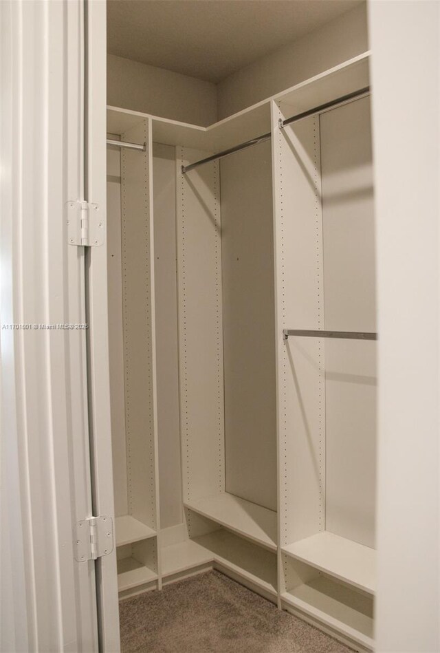 5231 NW Iredell St, Port St Lucie, FL 34986 - view of spacious closet