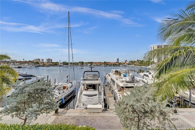 dock area featuring a water view