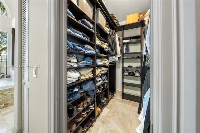 view of walk in closet