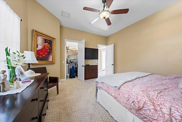 carpeted bedroom featuring ceiling fan, a walk in closet, and a closet