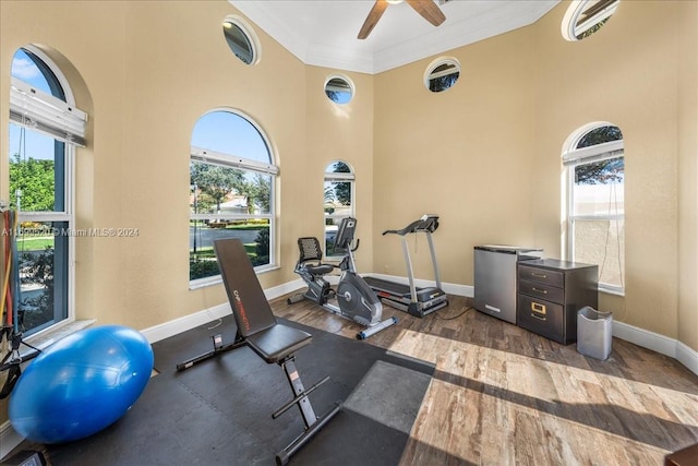 workout room featuring crown molding, a towering ceiling, ceiling fan, and dark wood-type flooring