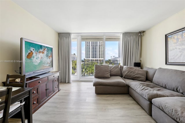 living room featuring light hardwood / wood-style floors