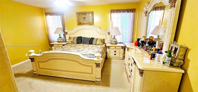 view of carpeted bedroom