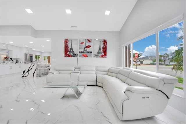 living room featuring high vaulted ceiling