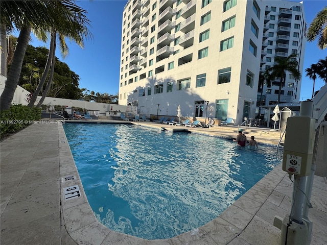 view of swimming pool featuring a patio area