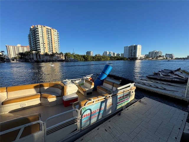 dock area with a water view