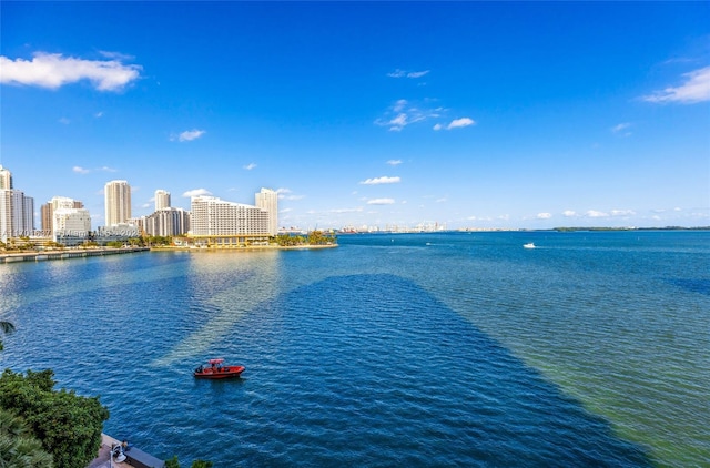 view of water feature with a city view