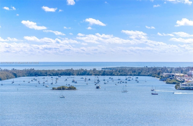 bird's eye view with a water view