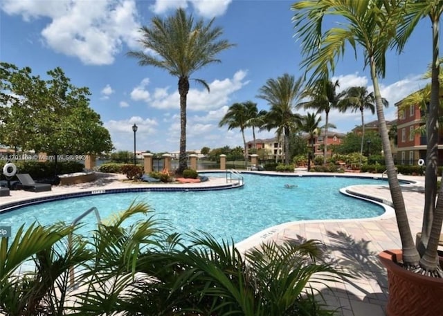 view of pool featuring a patio area