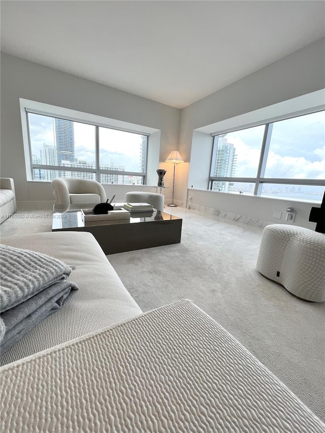 carpeted bedroom featuring multiple windows