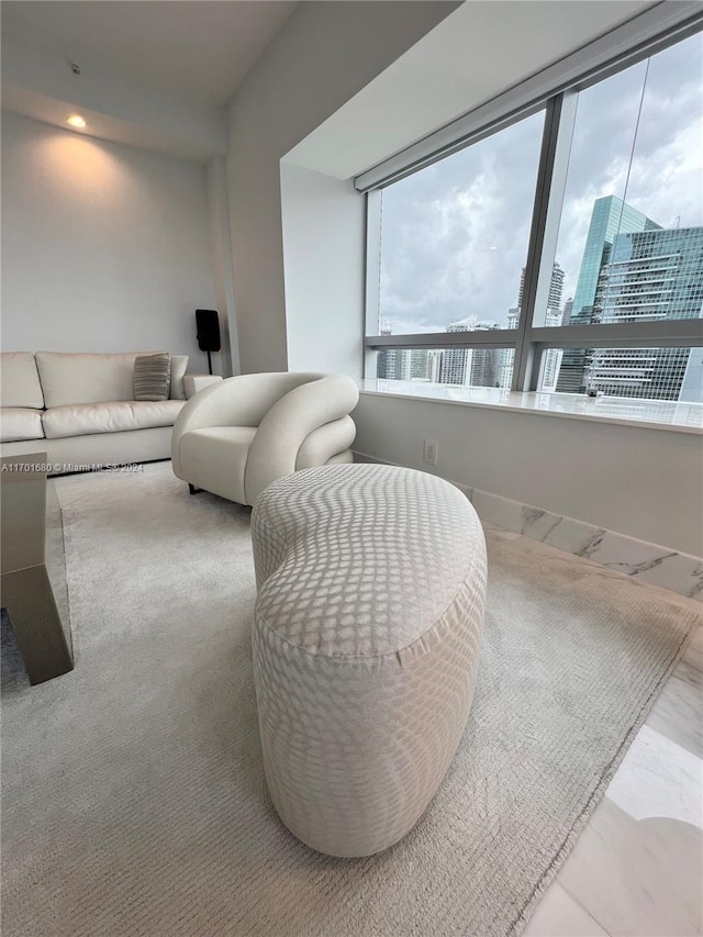 living room featuring carpet floors