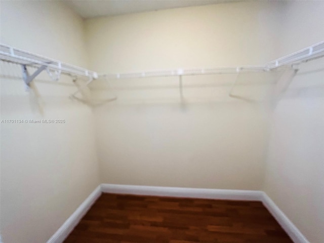 walk in closet featuring dark hardwood / wood-style floors