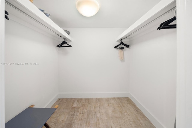 spacious closet with wood-type flooring