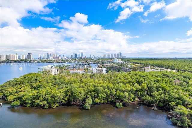 bird's eye view with a water view