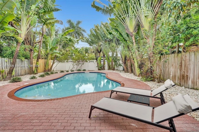 1640 Jefferson St, Hollywood, FL 33020 - view of swimming pool with a patio area and a fenced backyard