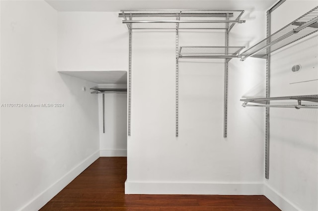 walk in closet featuring dark wood-type flooring