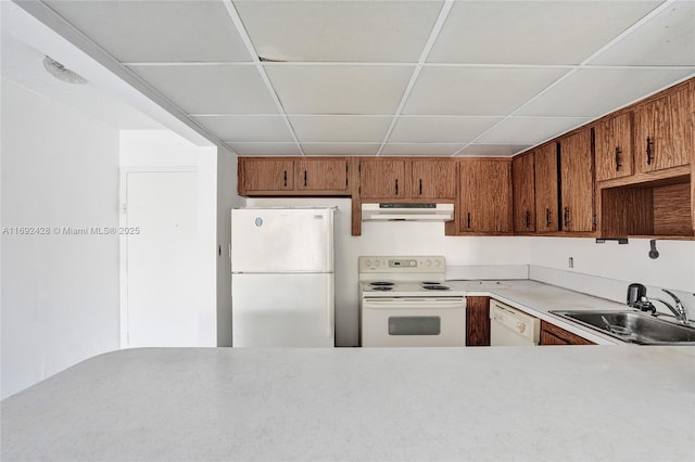 kitchen featuring under cabinet range hood, white appliances, a sink, light countertops, and brown cabinets