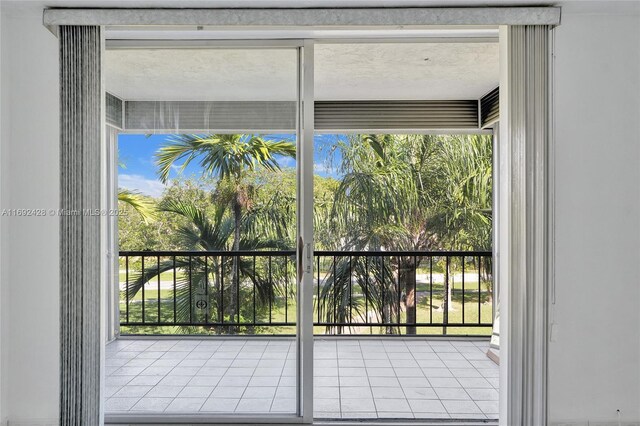 doorway with a wealth of natural light