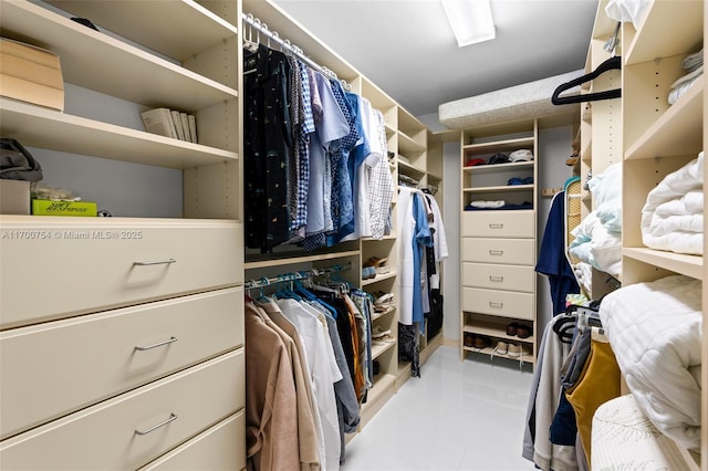 view of spacious closet