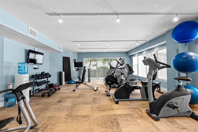 exercise room featuring light colored carpet