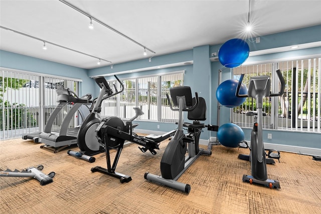 workout area with a wealth of natural light and carpet