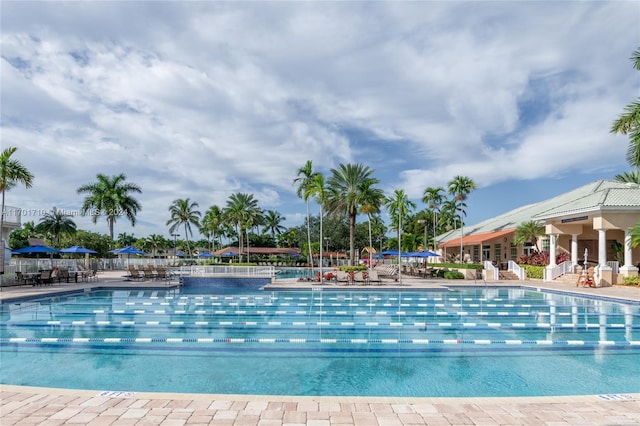 view of swimming pool featuring a patio