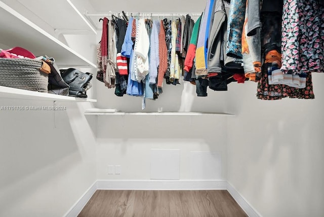 walk in closet featuring wood-type flooring