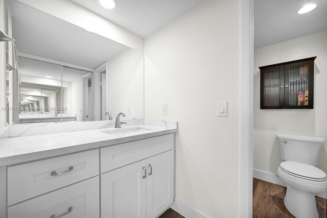 bathroom with vanity, wood-type flooring, and toilet