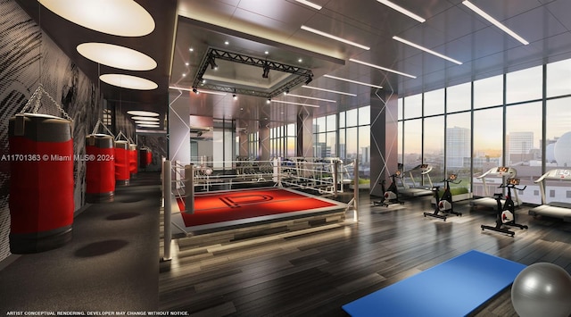 workout area featuring hardwood / wood-style flooring and floor to ceiling windows