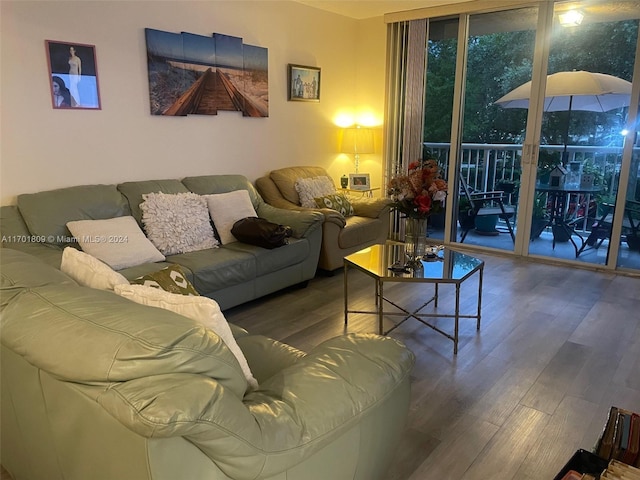 living room featuring dark hardwood / wood-style floors