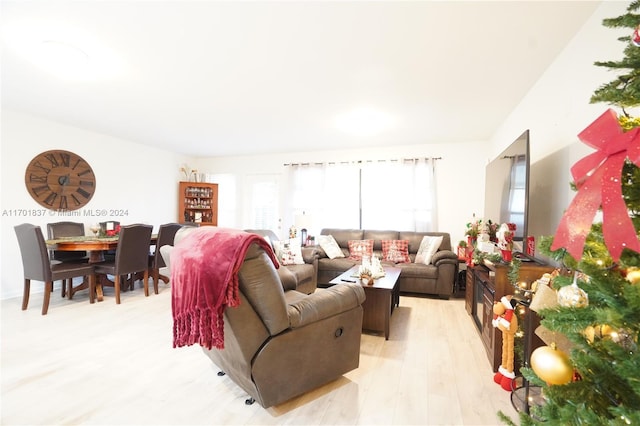 living room featuring light hardwood / wood-style floors