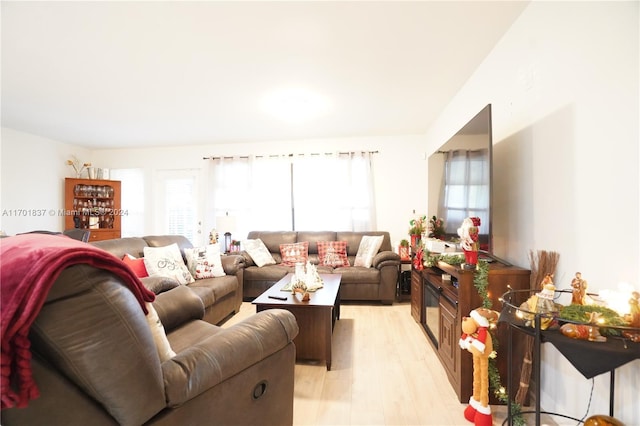 living room featuring light hardwood / wood-style floors