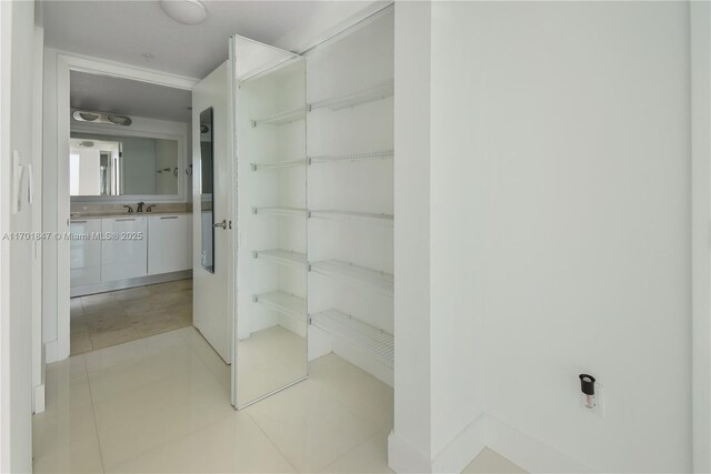 closet featuring sink
