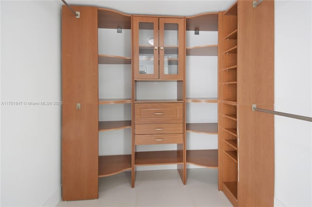 view of walk in closet