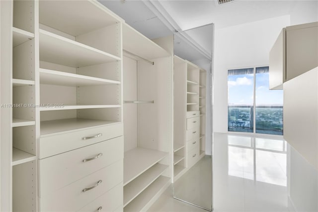 view of spacious closet