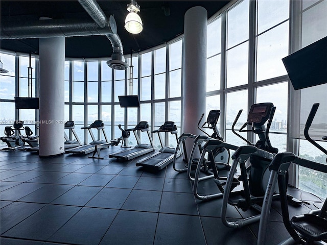 workout area featuring plenty of natural light and expansive windows