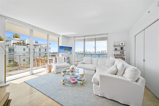 living room with floor to ceiling windows and wood-type flooring