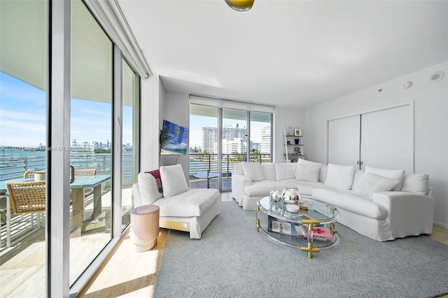 living room featuring floor to ceiling windows