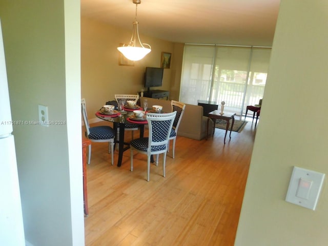 dining room with light hardwood / wood-style floors