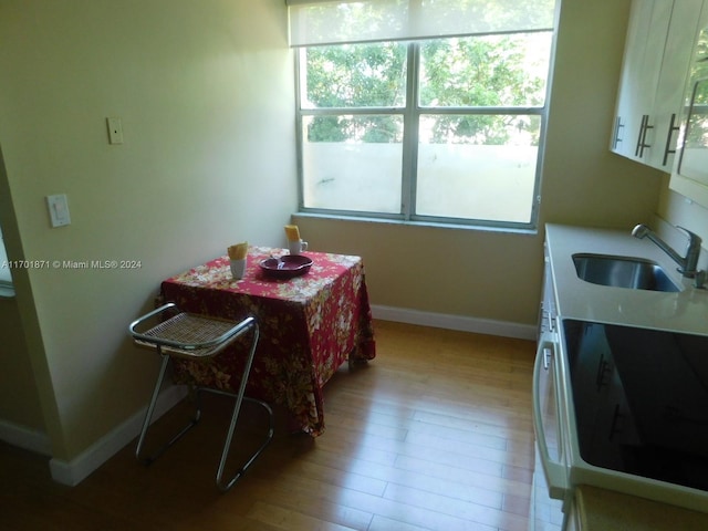 dining space featuring light hardwood / wood-style flooring, a wealth of natural light, and sink