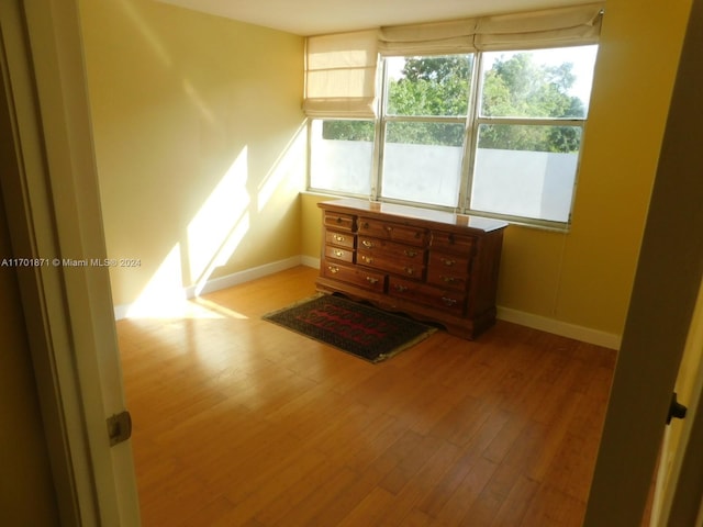 unfurnished room featuring light wood-type flooring