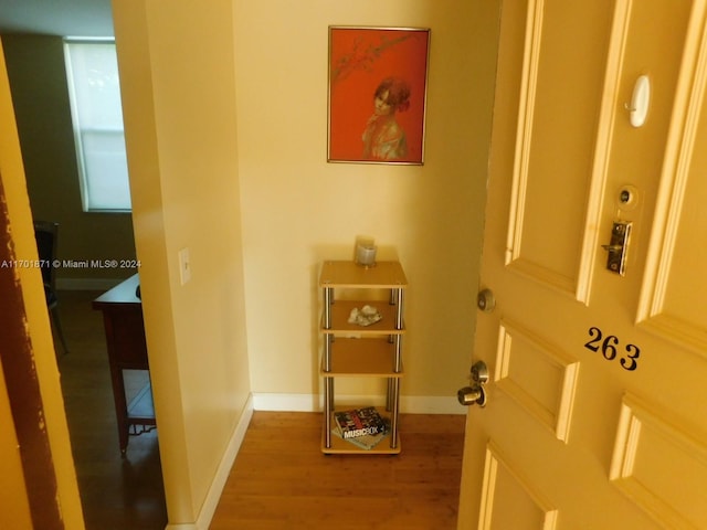 hallway featuring wood-type flooring