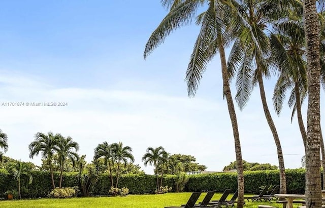 view of property's community featuring a yard