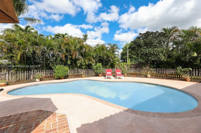 view of pool with a patio area