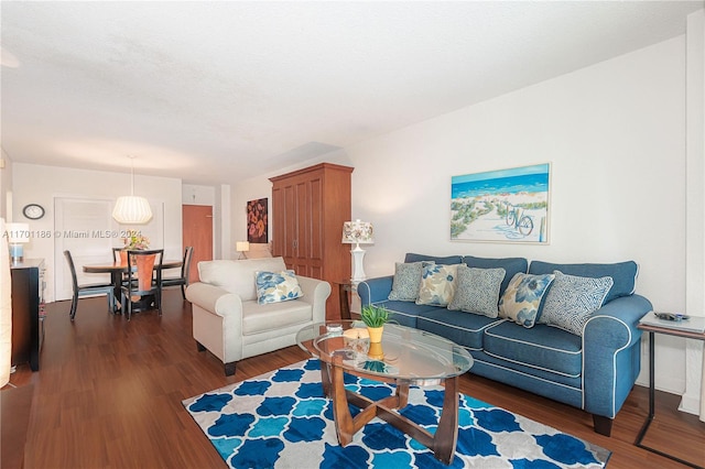 living room with dark hardwood / wood-style floors