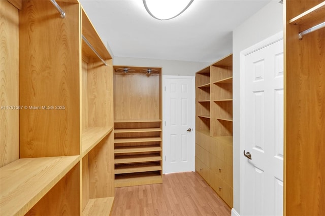 walk in closet with light hardwood / wood-style floors