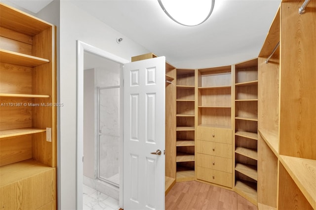 spacious closet featuring light wood-type flooring