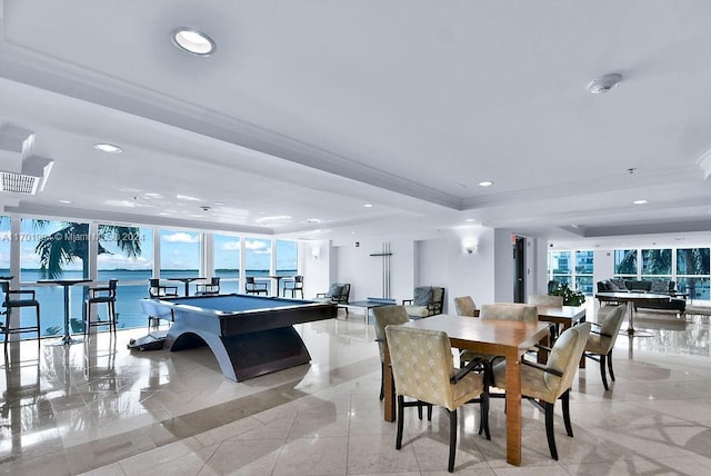 rec room with a raised ceiling, plenty of natural light, a water view, and billiards