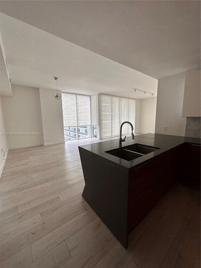 kitchen with light hardwood / wood-style floors and sink