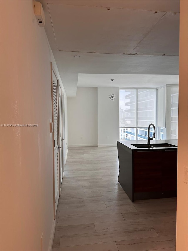 kitchen featuring light wood-type flooring and sink